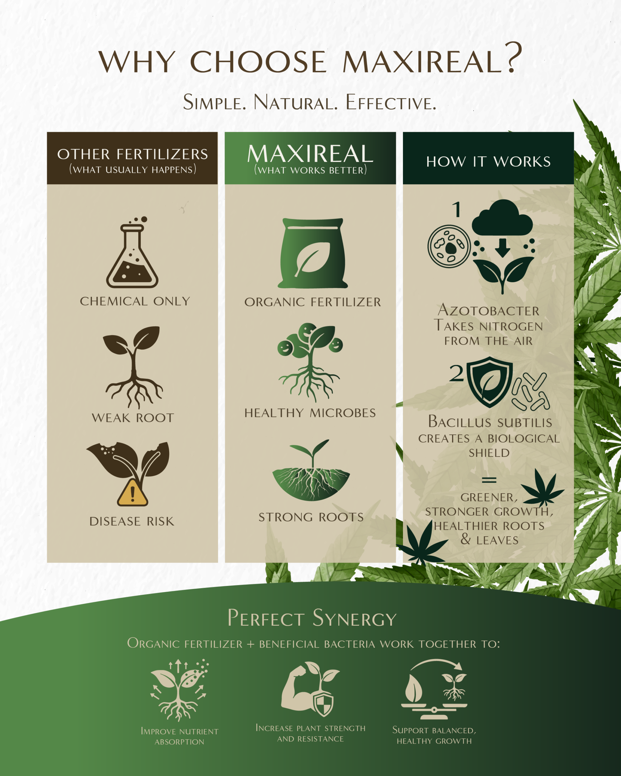 Infografia Maxireal_1